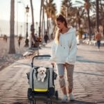 Poussette Chien 2 en 1 Siège Auto Détachable au bord de la mer