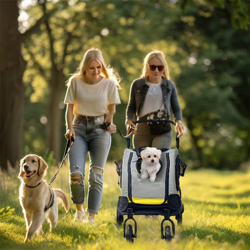 Poussette Chien 2 en 1 Siège Auto Détachable dans les bois