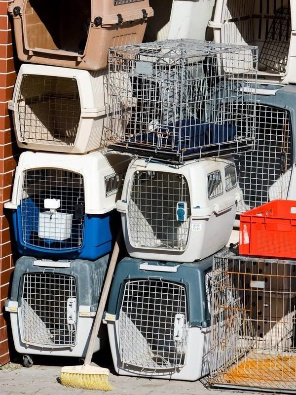 diverse cages toutes dimension