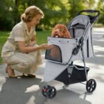 Transport facile chien en poussette dans un parc avec femme