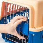 Cage De Transport Petit Chien verrouillage