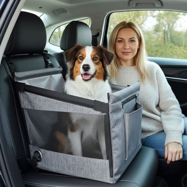 Caisse pour chien grande taille voiture avec femme blonde