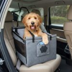 Caisse de transport sécurisée chien voiture