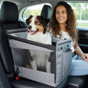 Caisse de transport pour chien XXL banquette arrière avec femme