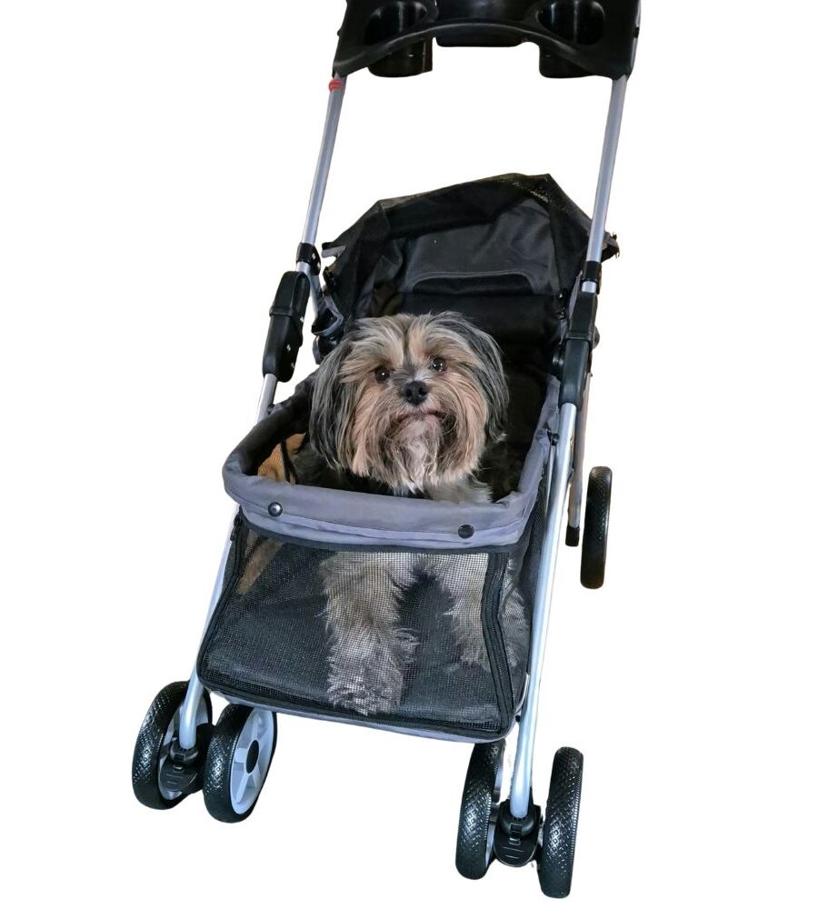 Poussette Pour Petits Chiens