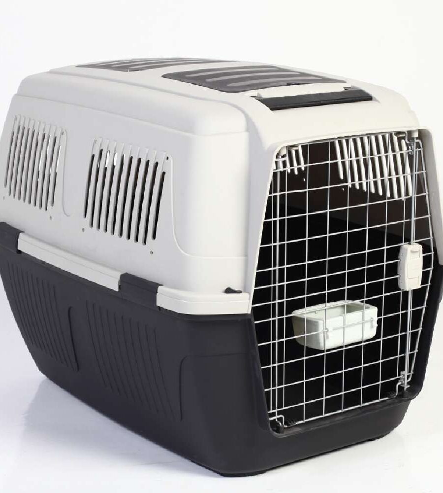 grande cage de transport 102 x 74 x 76 cm