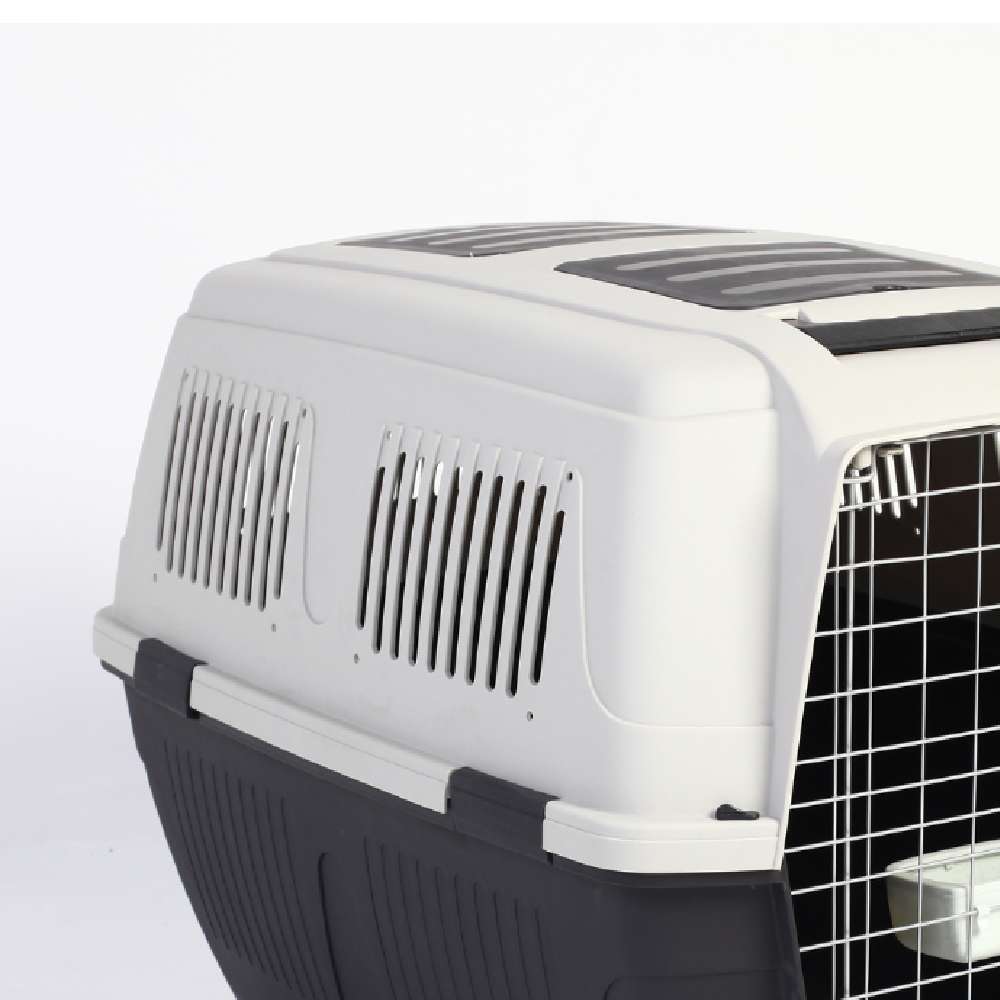 aération cage avion chien homologue