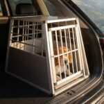 Accueil cages-chien.fr Transport pour chien