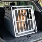 Cage De Transport Alu Pour Grand Chien Taille L