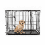 Cage croissance chiot système ajustable sans plomb