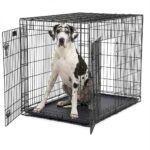 Cage Chien XXL Noire (121 cm)