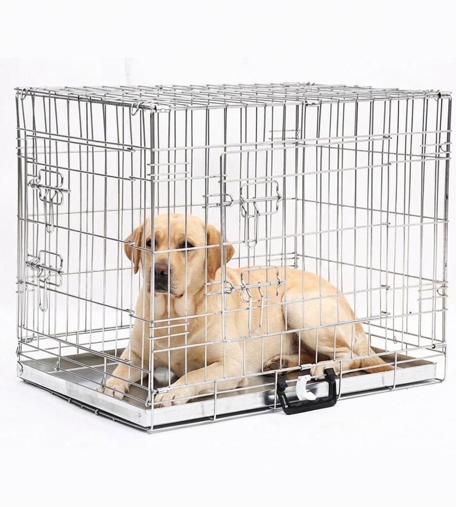 Cage Transport Chien XL Galvanisée Pliable 2 Portes Avec Plateau Métallique