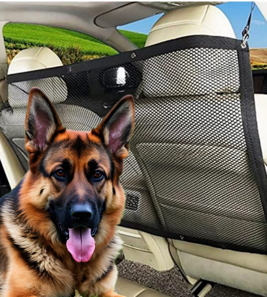 Filet Protection Chien Voiture
