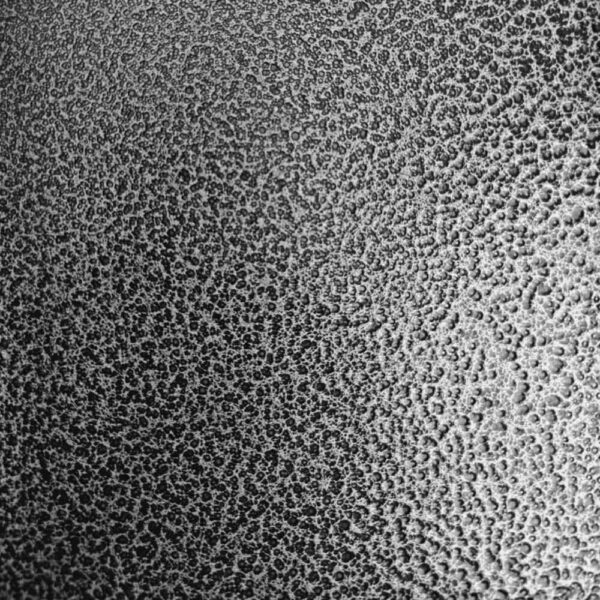 Caisse transport chien renforcée deux portes noir argent