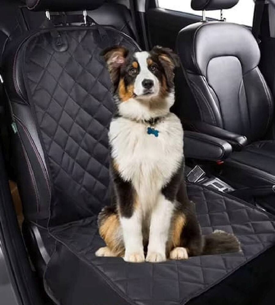 Protection Siege Avant Voiture Pour Chien