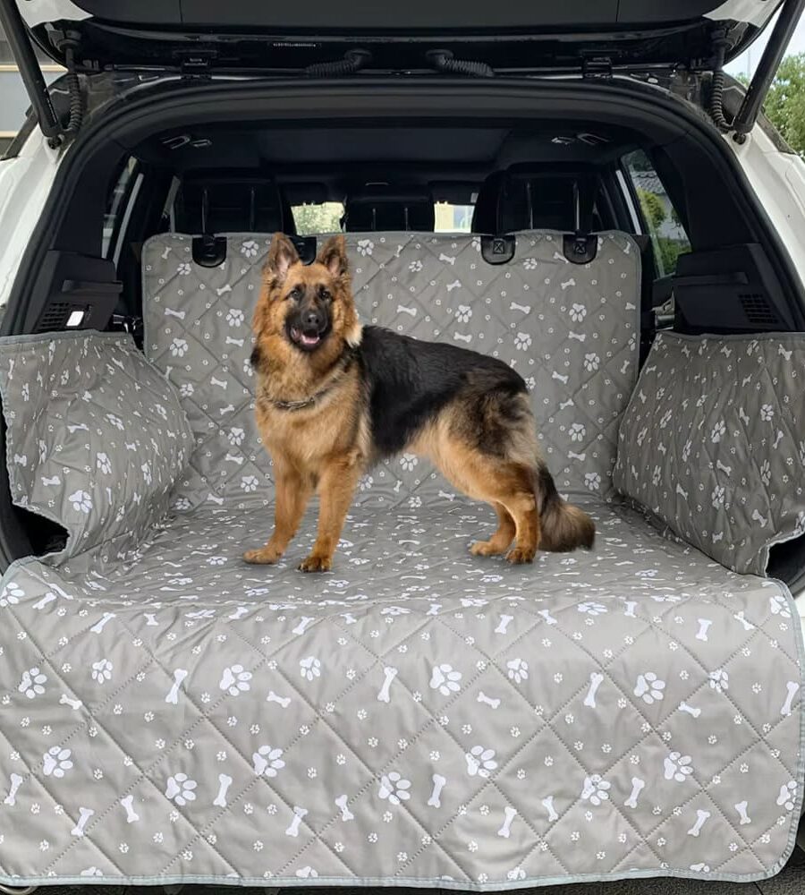 Protection Coffre Voiture Pour Chien