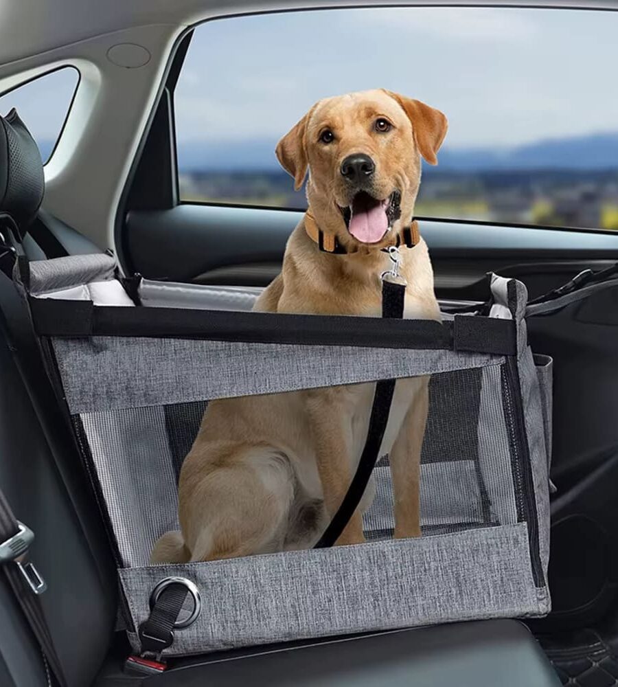 siège auto pour chien 20 kg gris