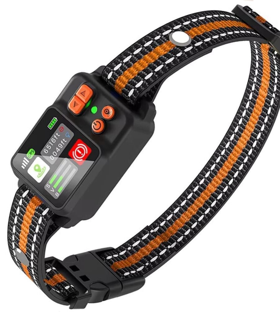 Collier Chien Anti Fugue Sans Fil