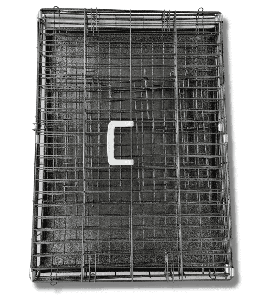 Caisse métal chien noir argent sécurité