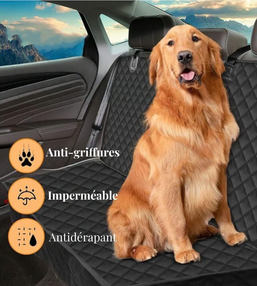 Couverture transport canin fixation sangles ajustables