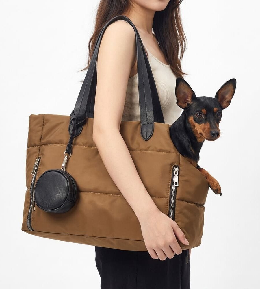 Sac de transport pour chien 5 kg fourrure chaude imperméable