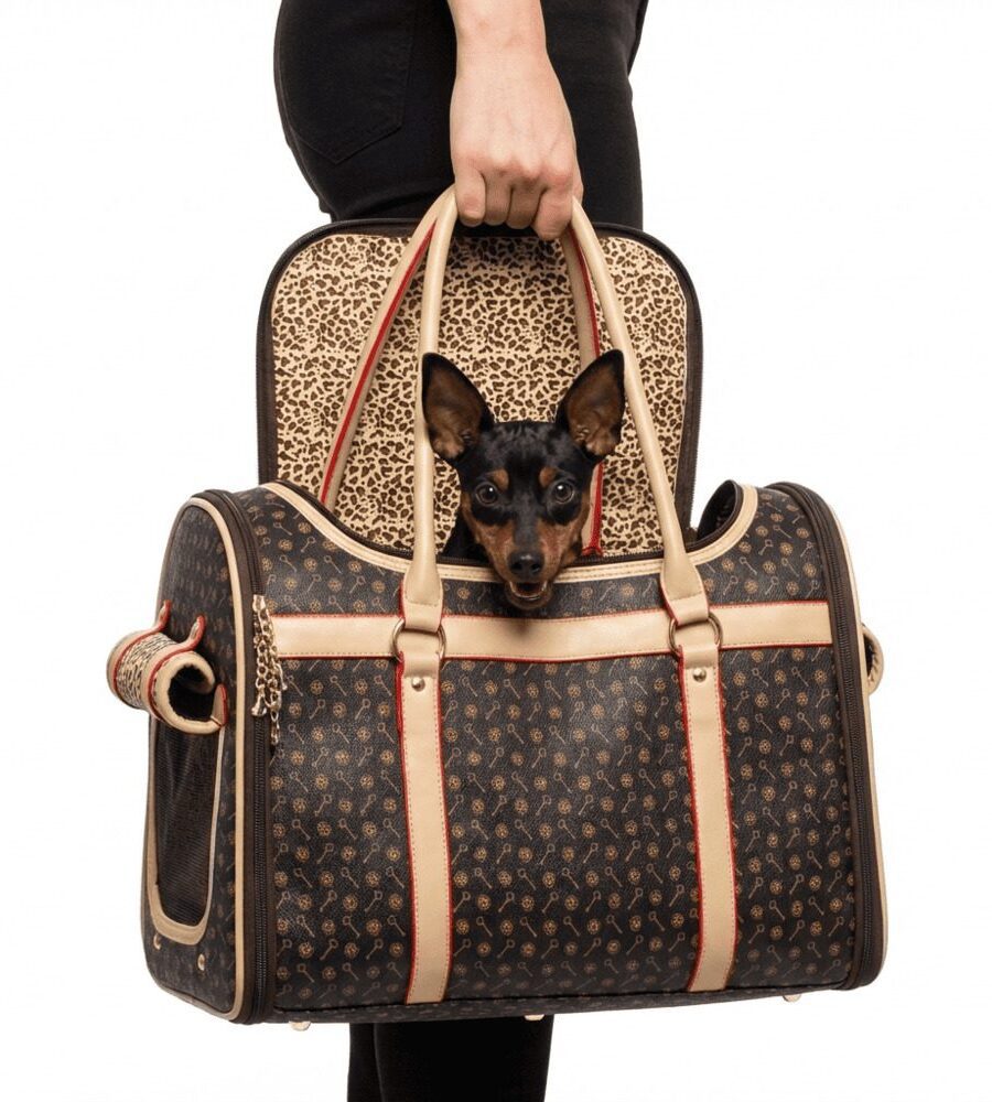 Sac de transport petit chien ville courses vétérinaire pratique e 