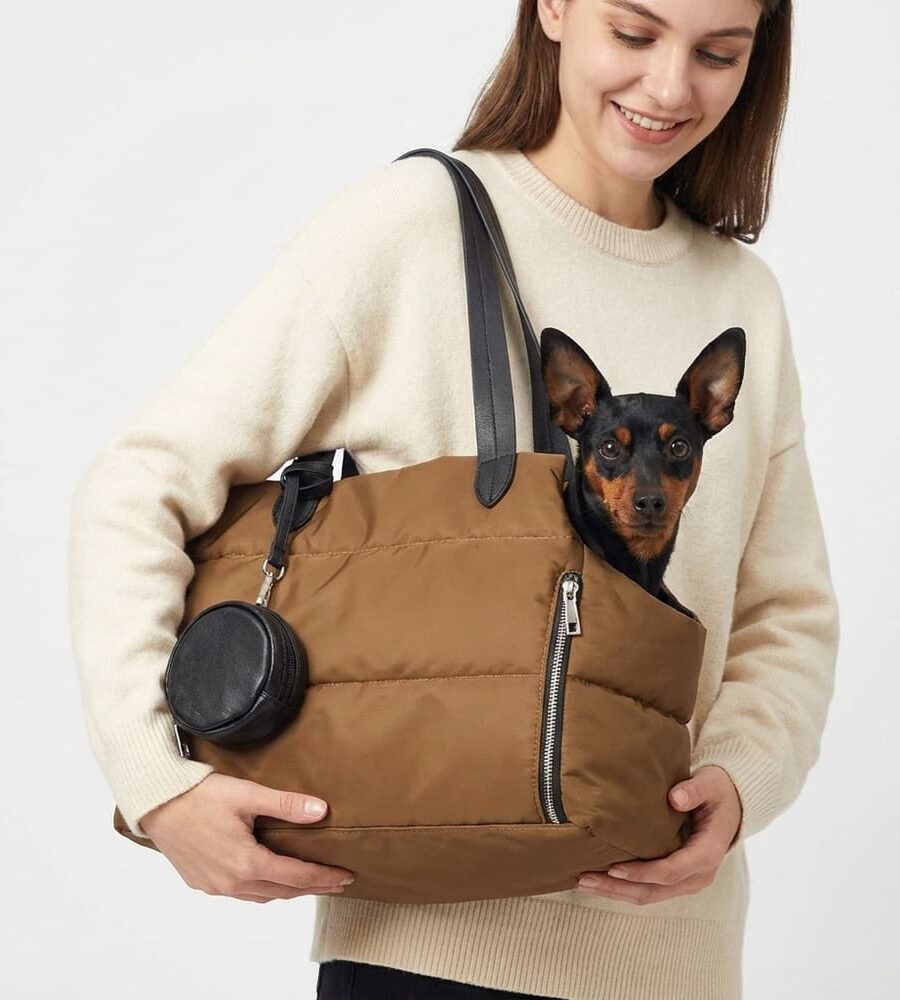 Sac de transport pour chien 5 kg ouverture frontale panoramique