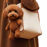 Sac De Transport Pour Chien Ours En Peluche