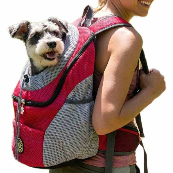 Nouveau proajet Transport Chien Sac à Dos