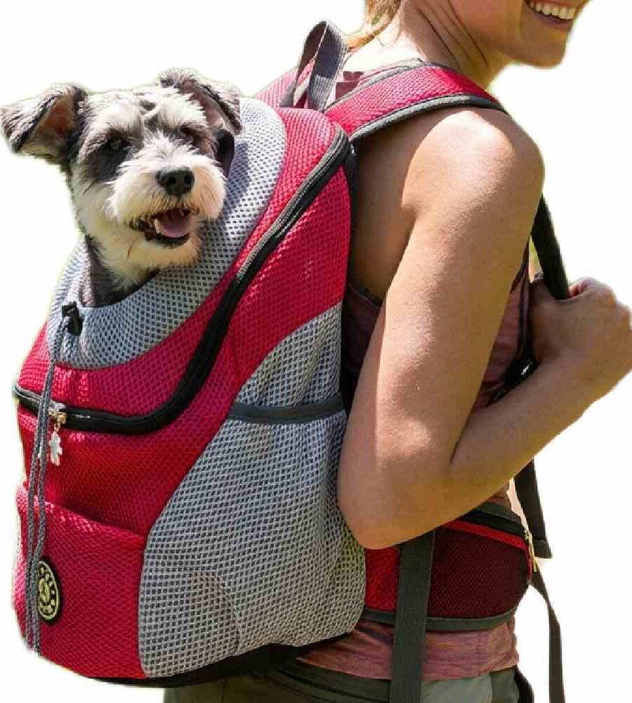 Transport Chien Sac à Dos