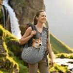 Sac transport sécurité crochet collier intégré anti-évasion saut balade montagne