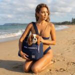 Petit Sac De Transport Pour Chien a la plage