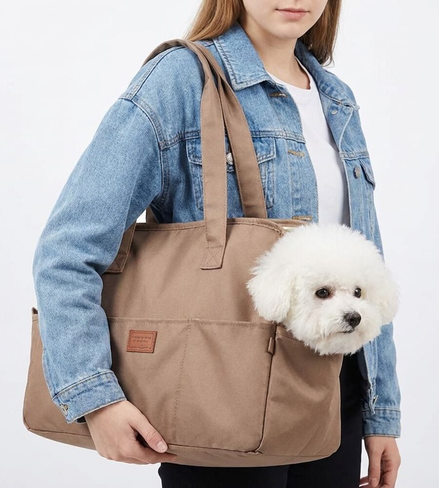Sac transport chien toile respirante beige marron quarante-et-un trente-et-un dix-neuf centimètres