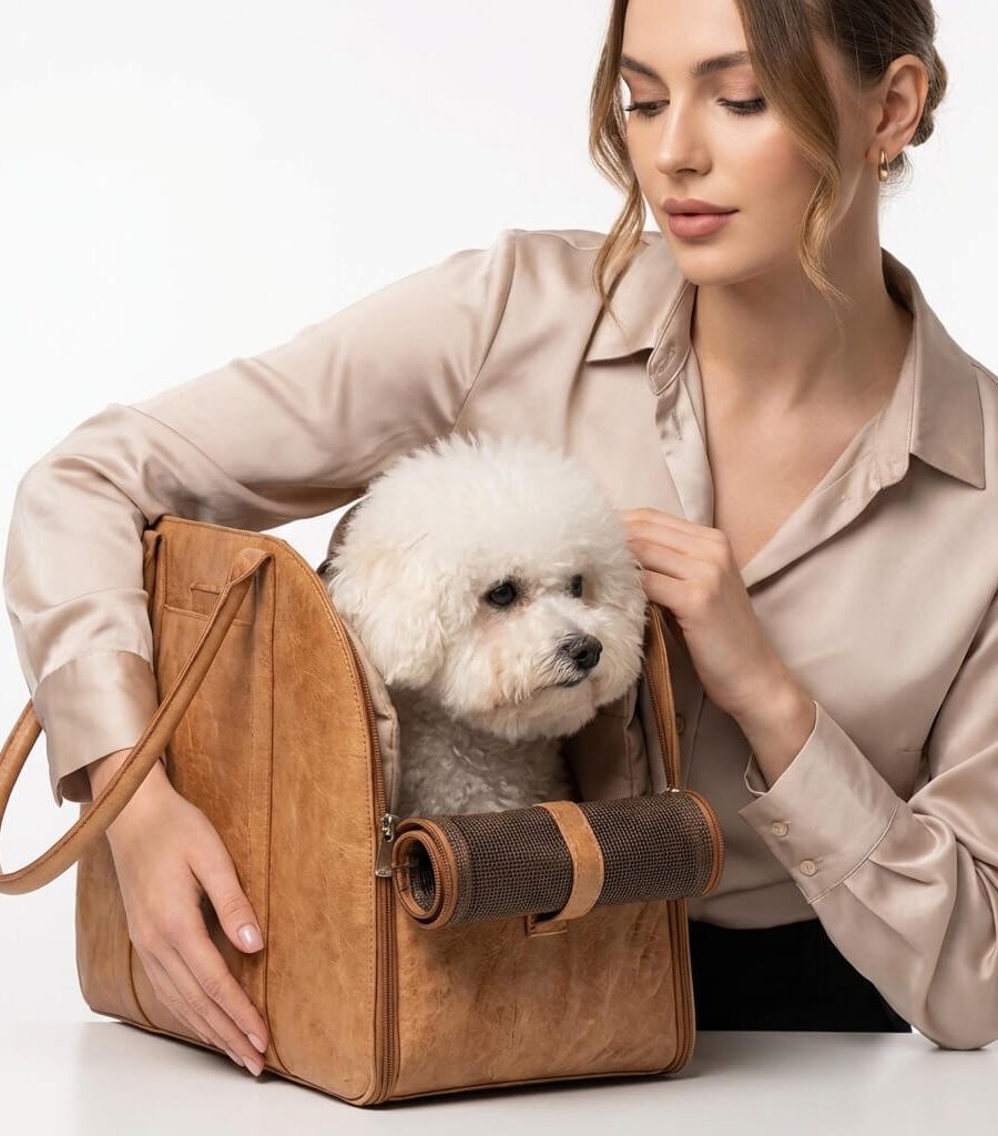 Sac transport chien simili cuir 4-en-1 polyvalent bandoulière dos siège auto