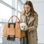 Sac transport sangle réglable fermoir métallique fixation collier anti-évasion