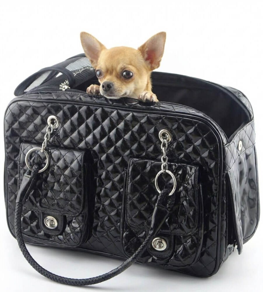 Sac transport fond rembourré confortable protection chocs voyage sécurisé