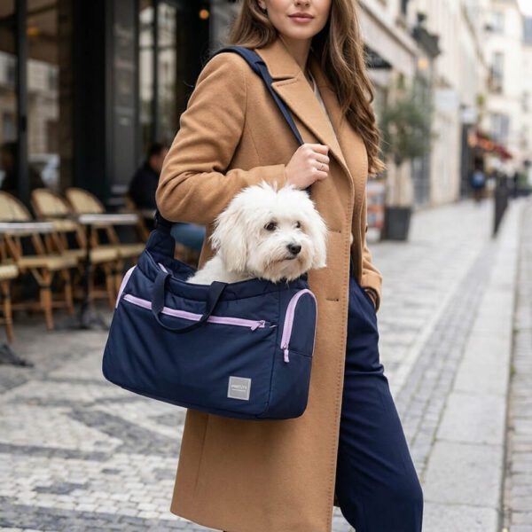 Petit Sac De Transport Pour Chien en ville