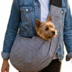 Accueil cages-chien.fr Transport pour chien