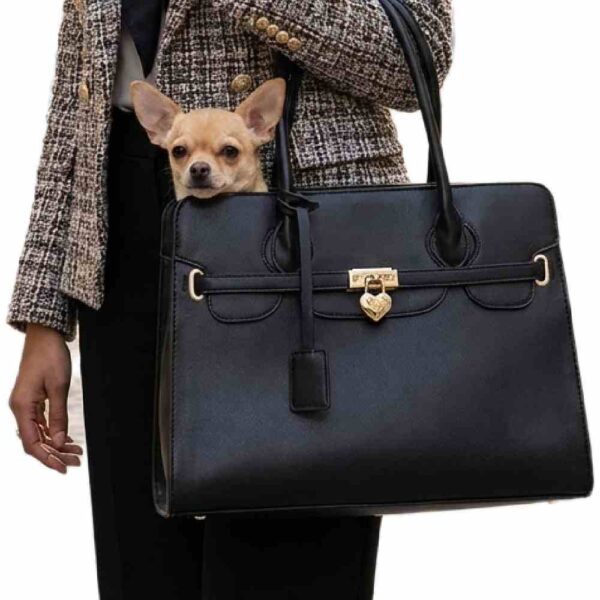 veau projet Sac transport chien noir respirant anti-condensation