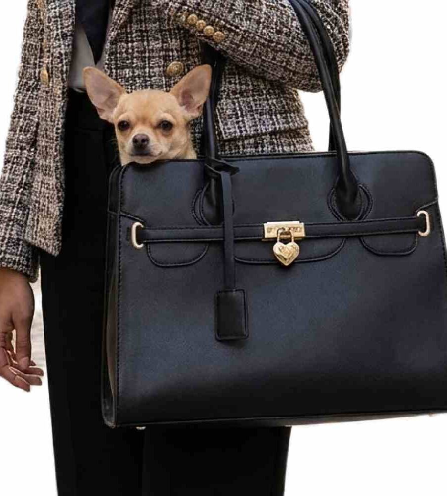 Sac transport chien noir respirant anti-condensation