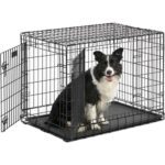 Cage Chien XS Noire (49 cm) – Pliable, 1 Porte, Bac Hygiène