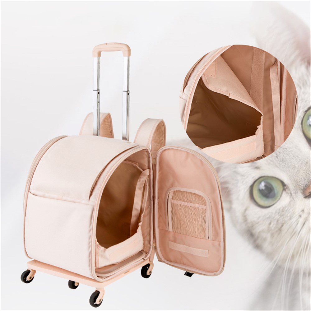 Sac à roulettes beige, porte latérale ouverte avec vue intérieure agrandie en cercle et chat aux yeux verts en fond