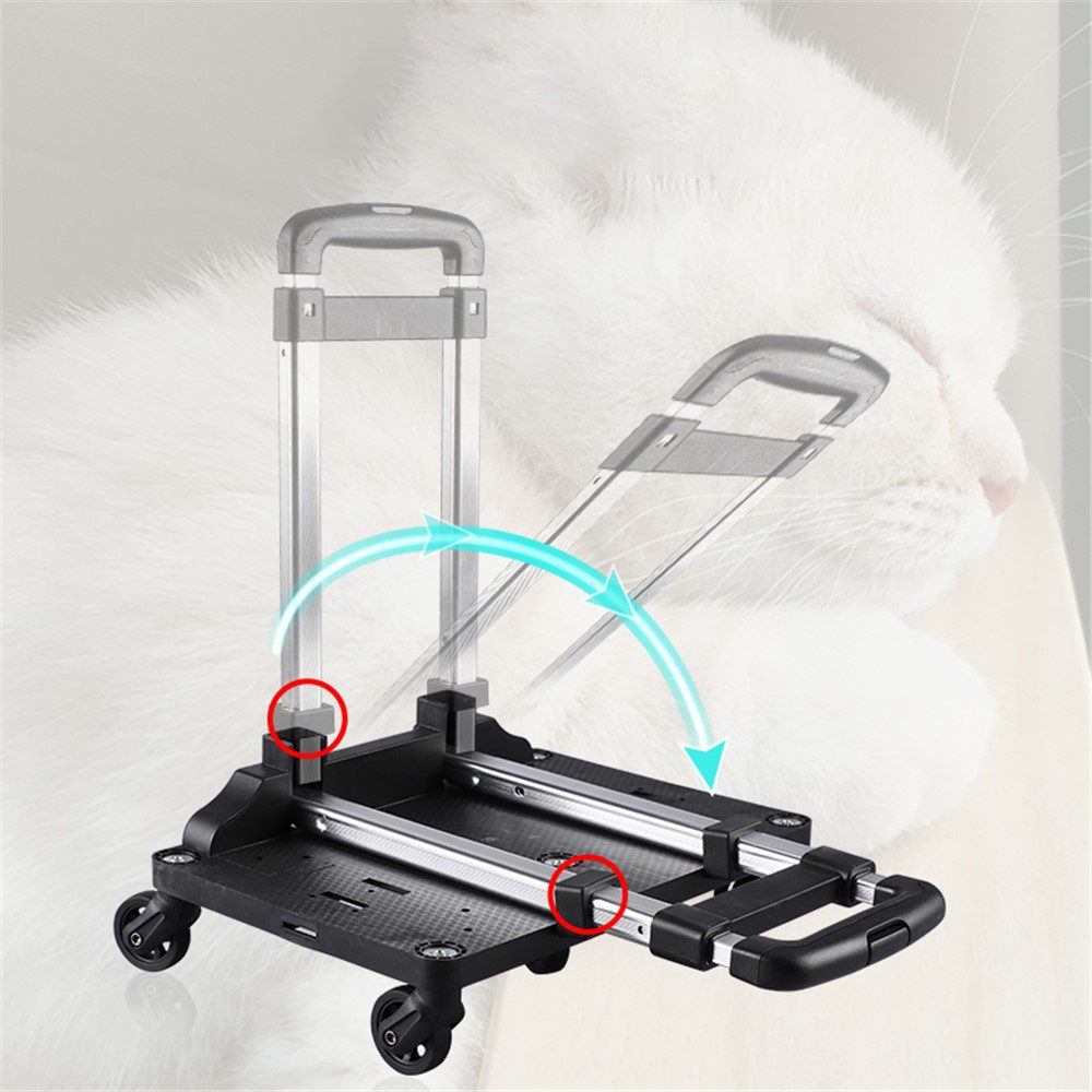 Châssis pliant à quatre roulettes, poignée télescopique repliable, flèche bleue indiquant le mouvement, fond de chat blanc