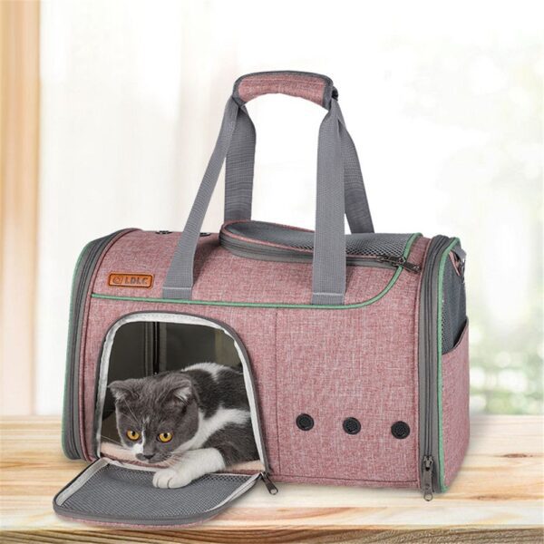 Chat gris et blanc posé dans un sac rose sur une table en bois, volet d'accès rabattu devant un fond de fenêtre lumineux