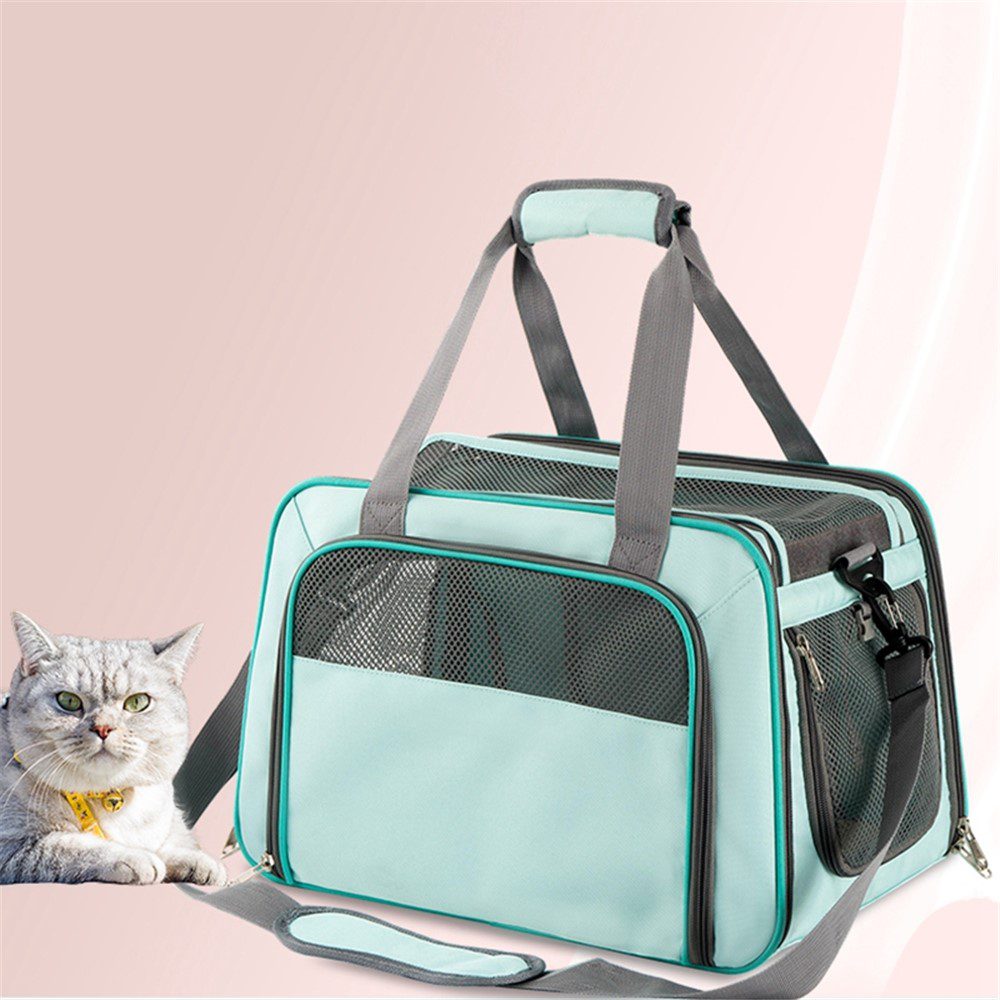 Sac pliable turquoise à liserés gris posé devant un fond rose, avec un chat blanc tacheté de gris sur le côté