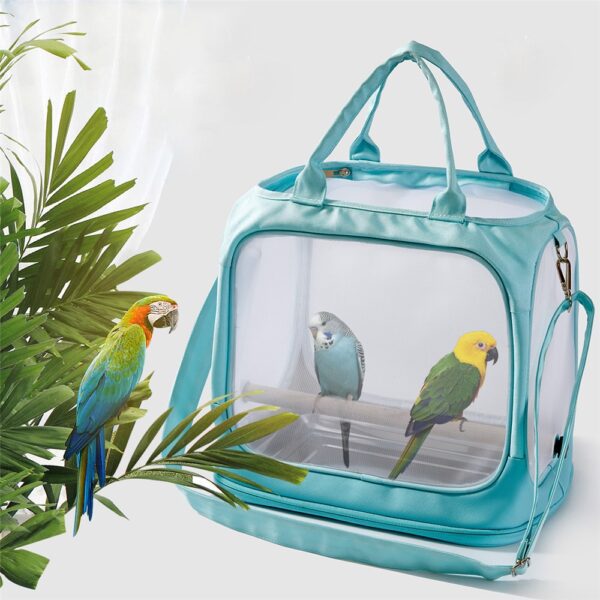 Sac turquoise à fenêtre transparente, deux perruches sur perchoir et feuillage d'un perroquet vert au premier plan