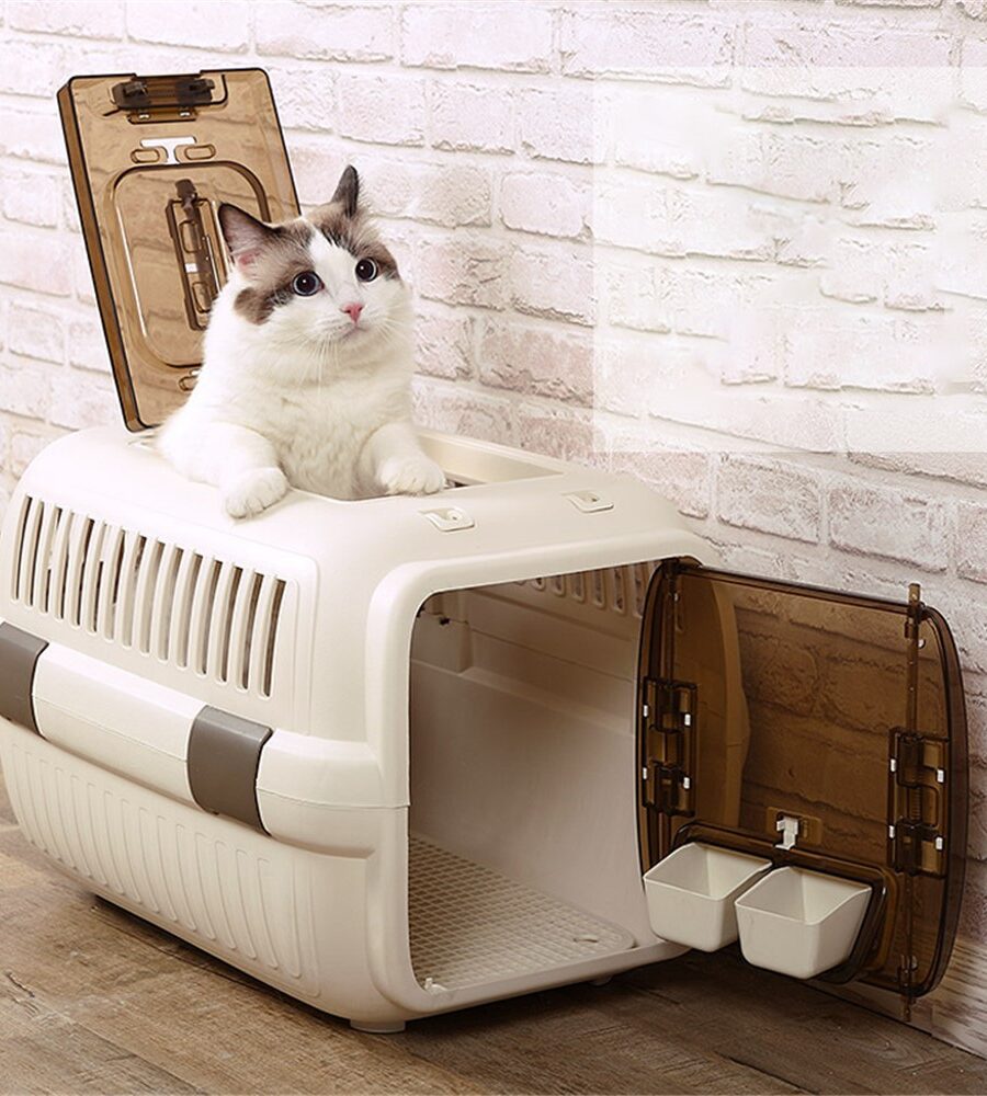 Cage Transport Avion 50x33x29cm Chien Chat - Aérée et Sécurisée