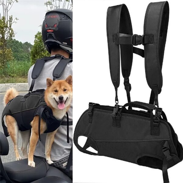 Shiba porté dans le dos d'un motard avec un harnais noir, à côté du même harnais présenté seul avec ses bretelles