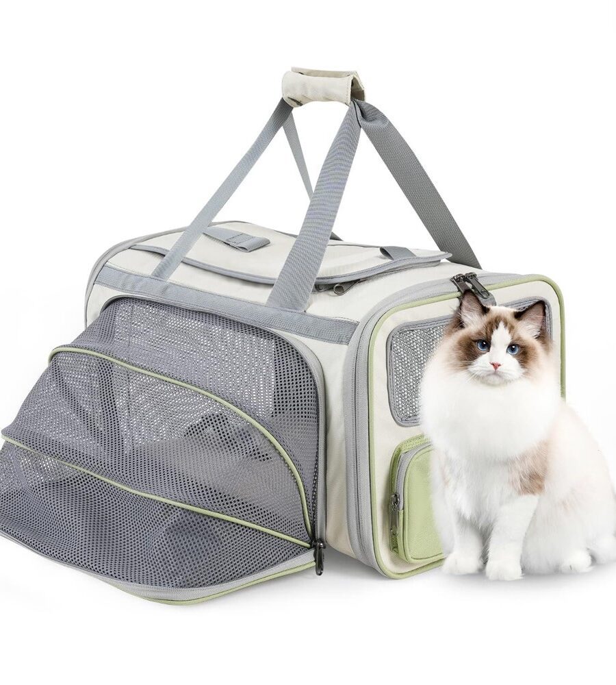 Sac à dos chat extensible - Transport respirant avec ouverture 3 côtés