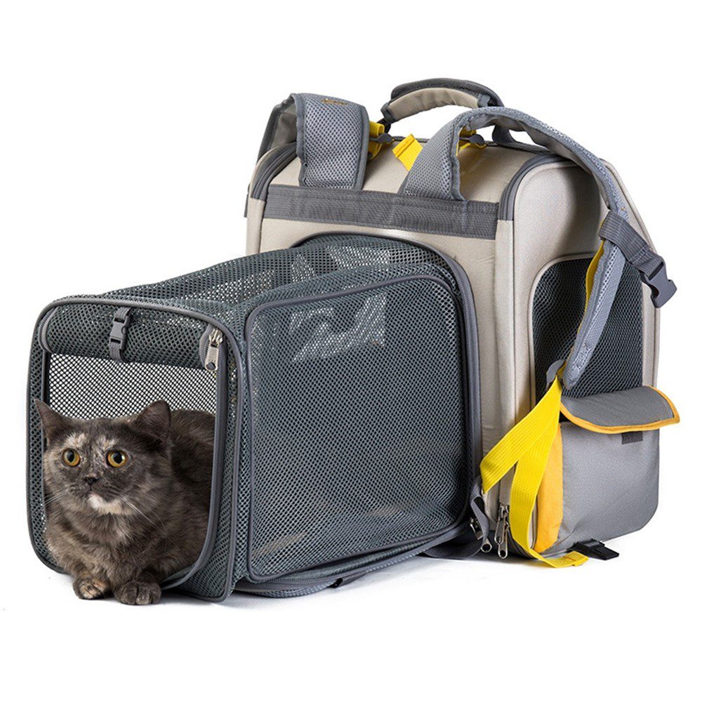 Chat tigré sortant de l'extension grillagée d'un sac à dos gris et jaune dont on voit les bretelles et la poche latérale